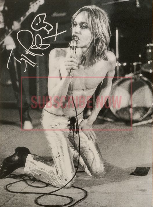 Iggy Pop